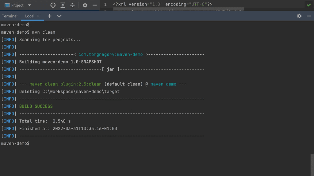 Running mvn clean