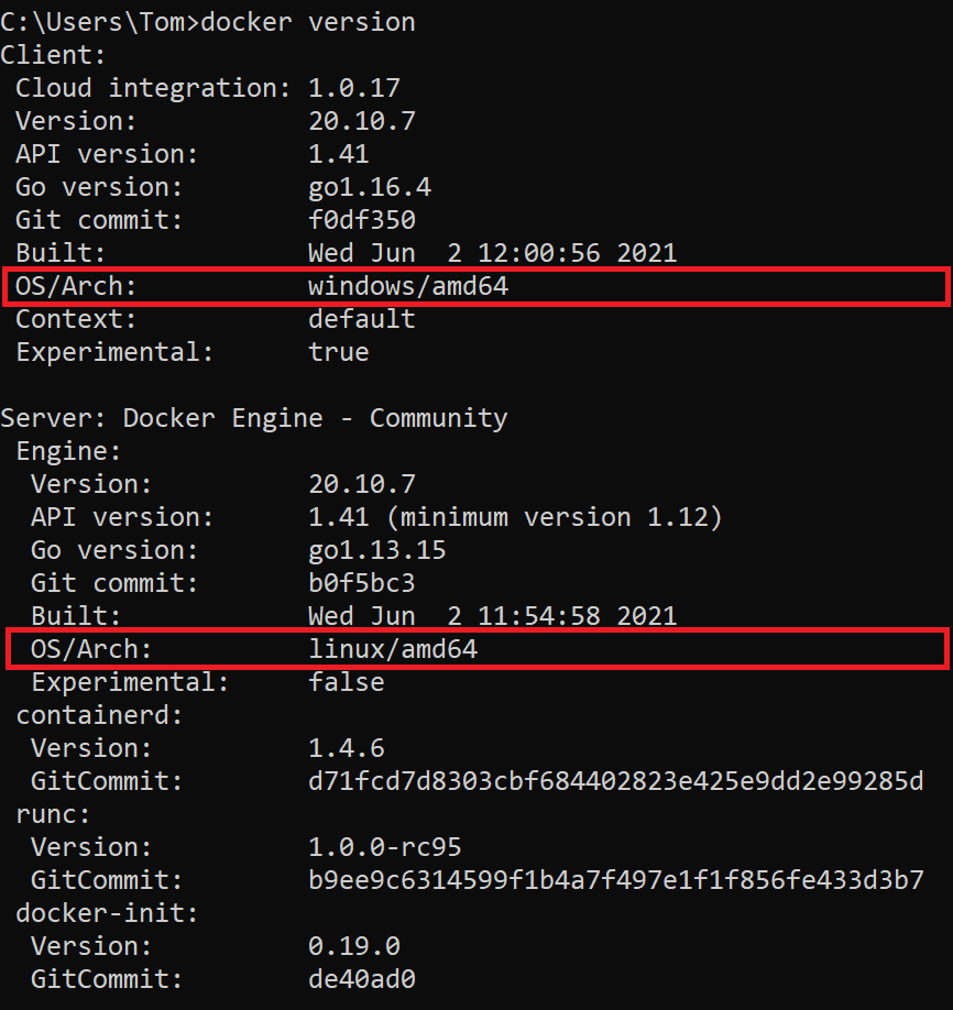 Docker version output shows Docker daemon running in Linux